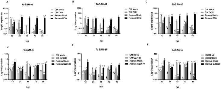 Fig 3