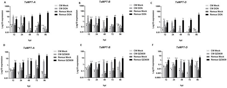 Fig 2