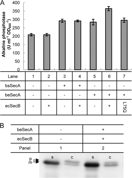 Fig 5