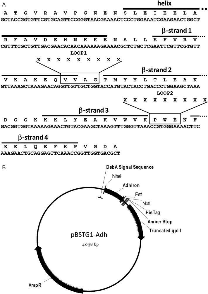 Fig. 1.