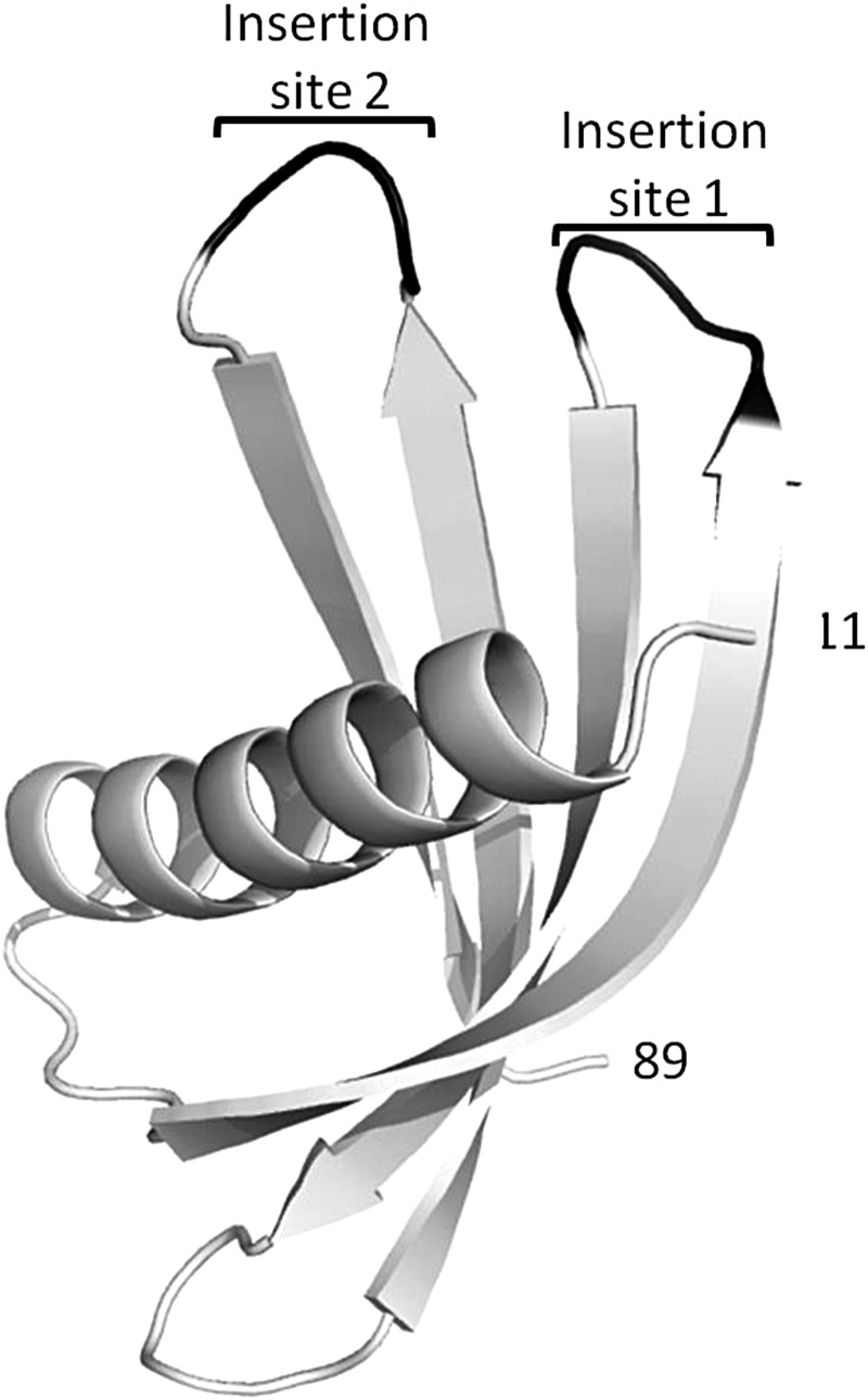 Fig. 3.