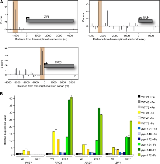 Figure 6.