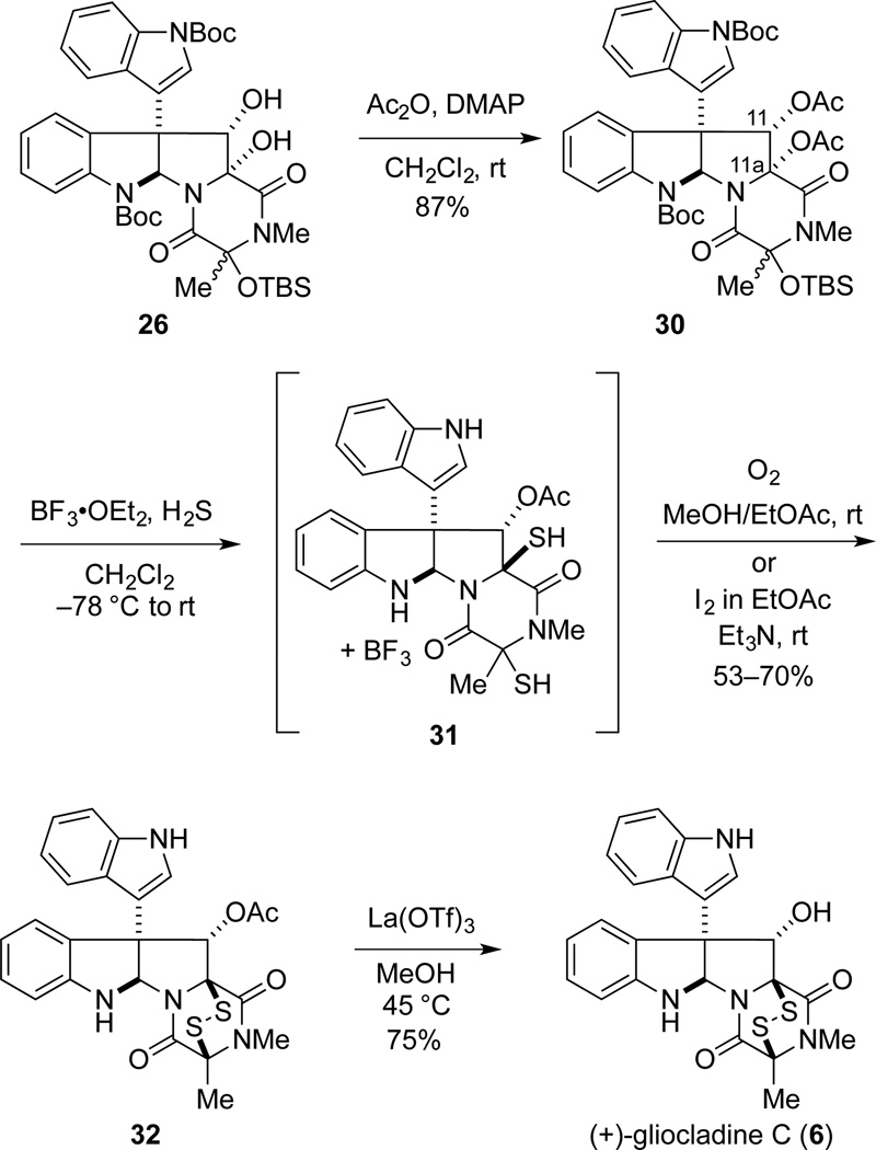 Scheme 4