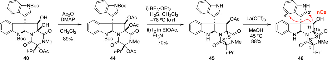 Scheme 8