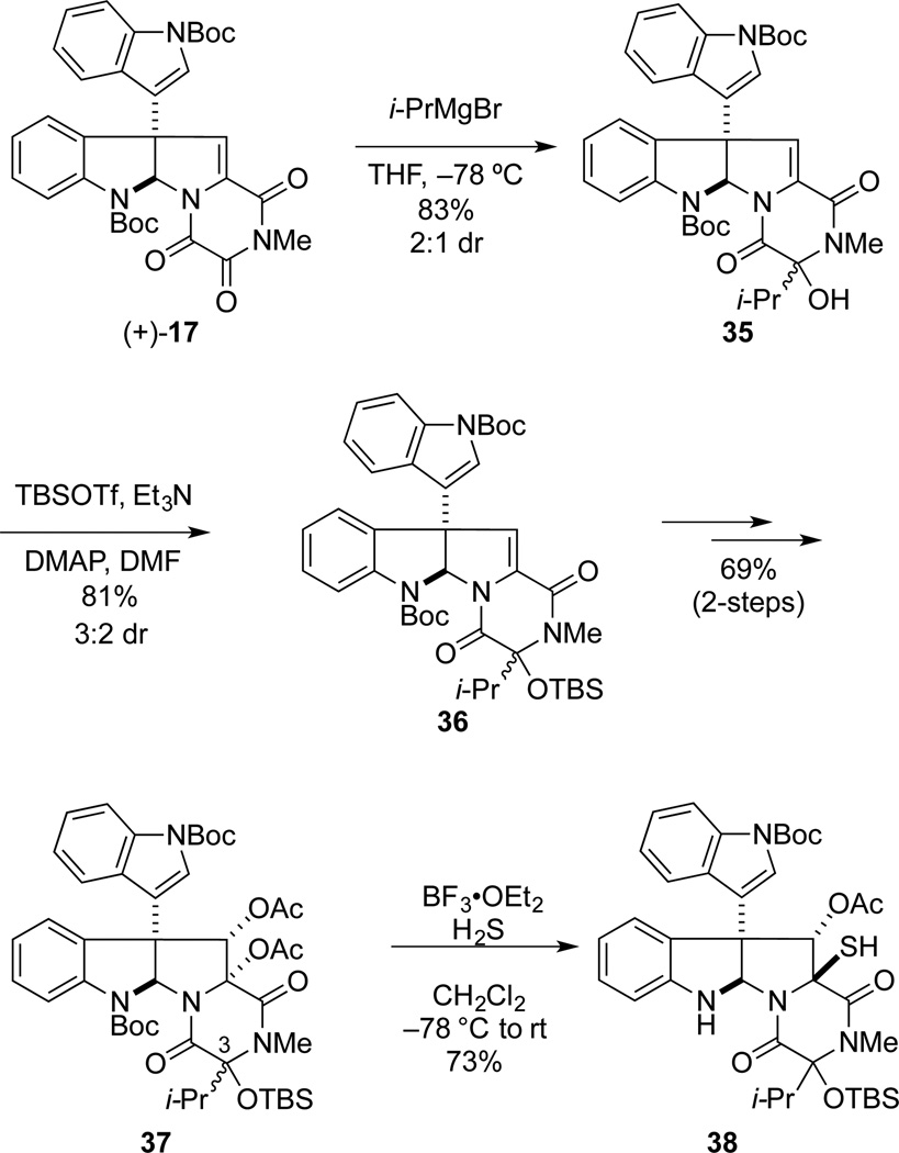 Scheme 5