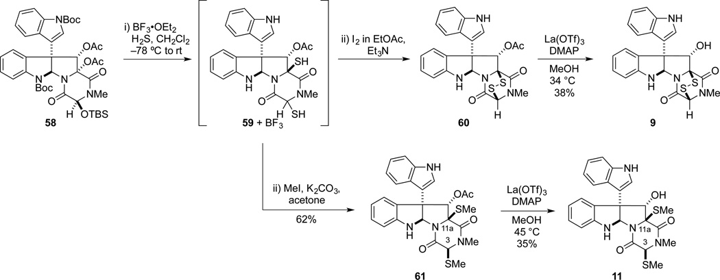 Scheme 12