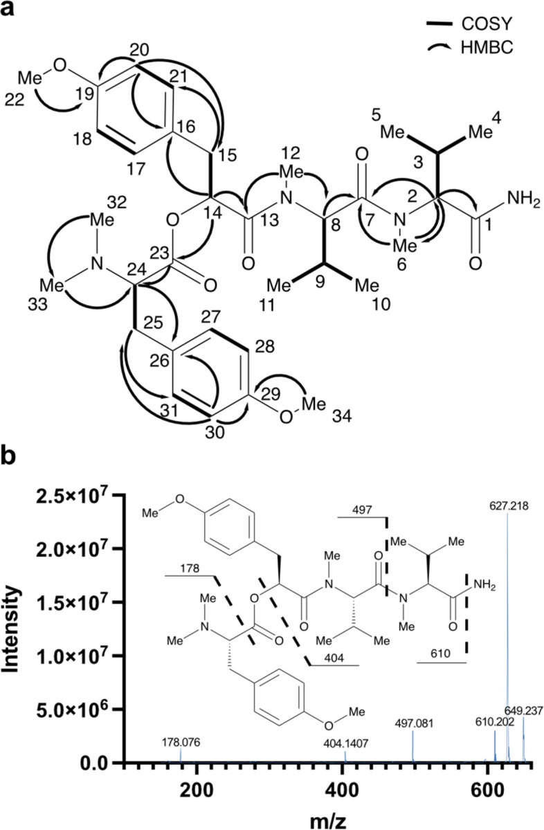 Figure 2.