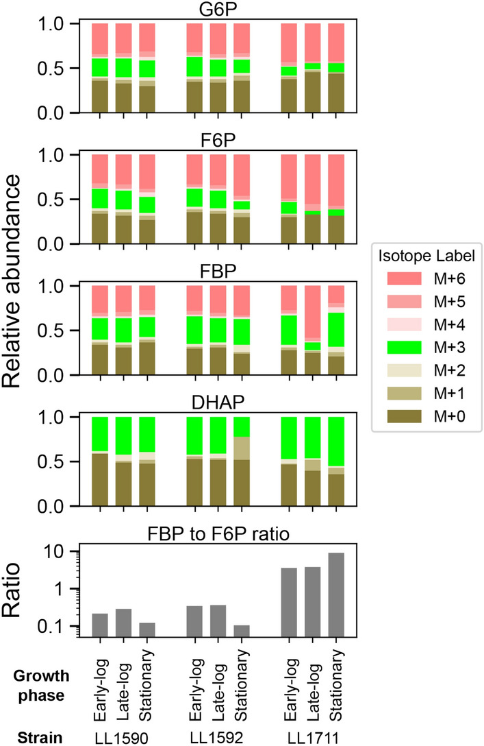 Fig. 4