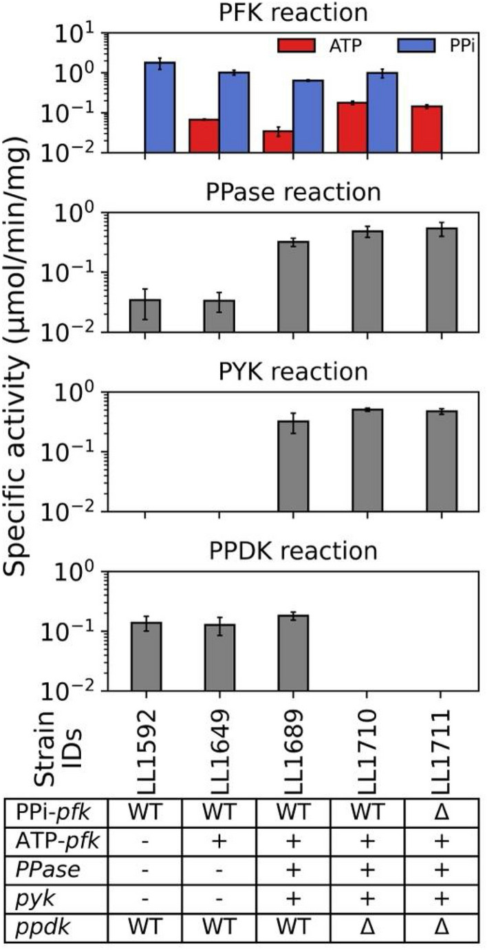 Fig. 2