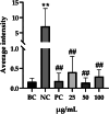 FIGURE 14