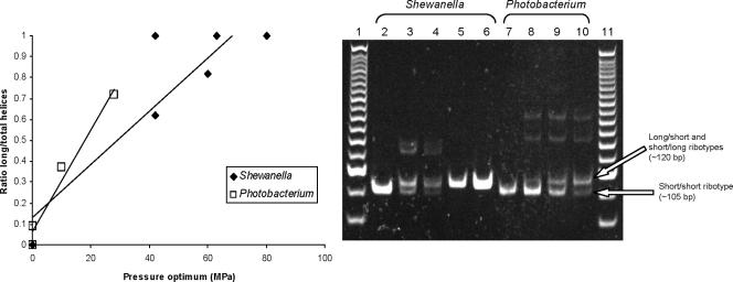 FIG. 5.