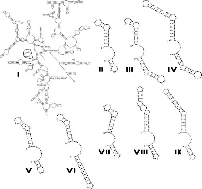 FIG. 3.