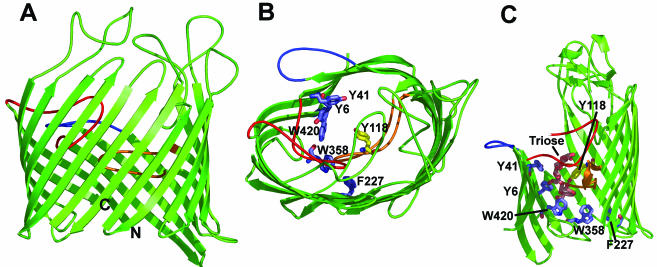 FIG. 4.