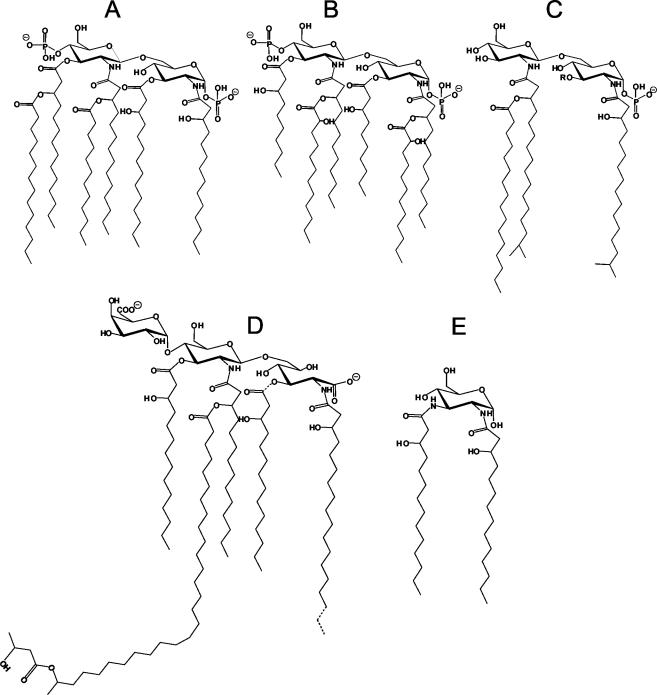 FIG. 14.