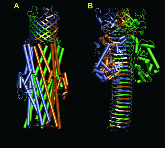 FIG. 8.