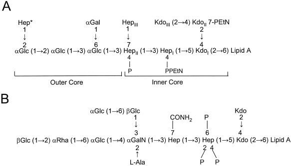 FIG. 10.