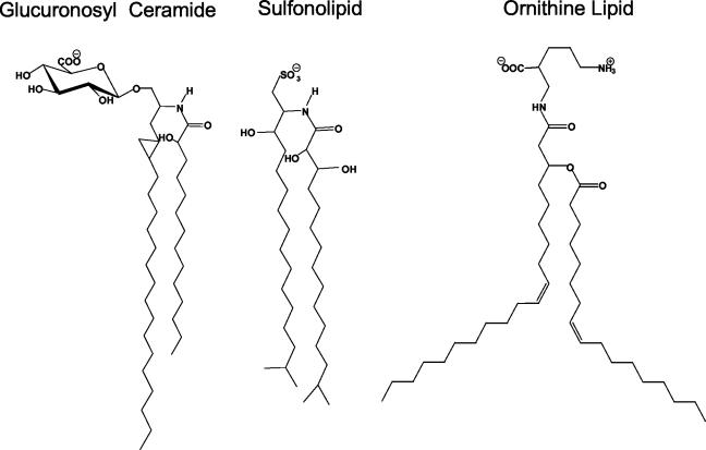 FIG. 15.