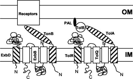 FIG. 5.