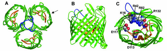 FIG. 2.