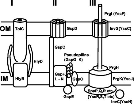 FIG. 7.