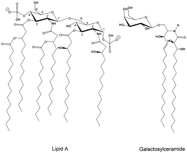 FIG. 9.