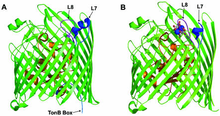 FIG. 6.