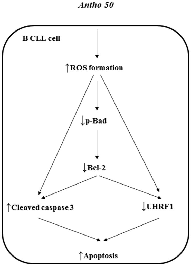 Figure 8