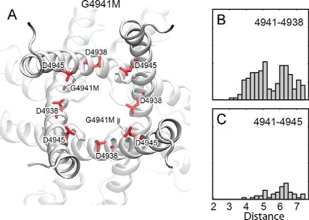 Figure 11.