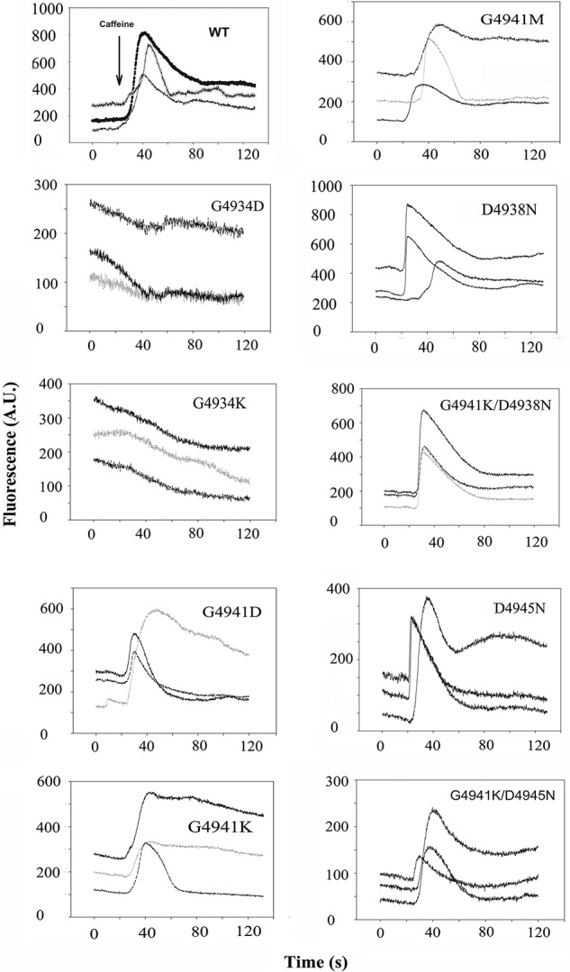 Figure 2.