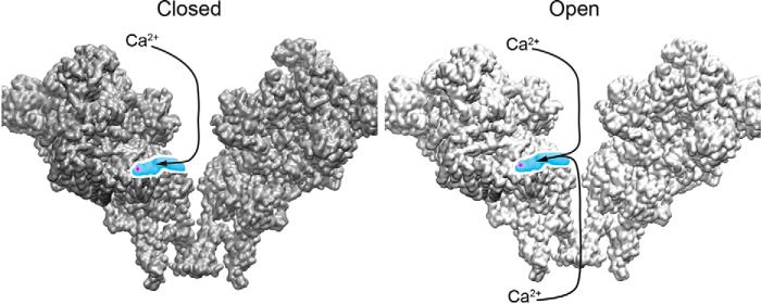 Figure 13.