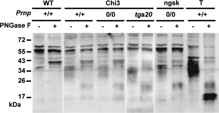 Figure 9.