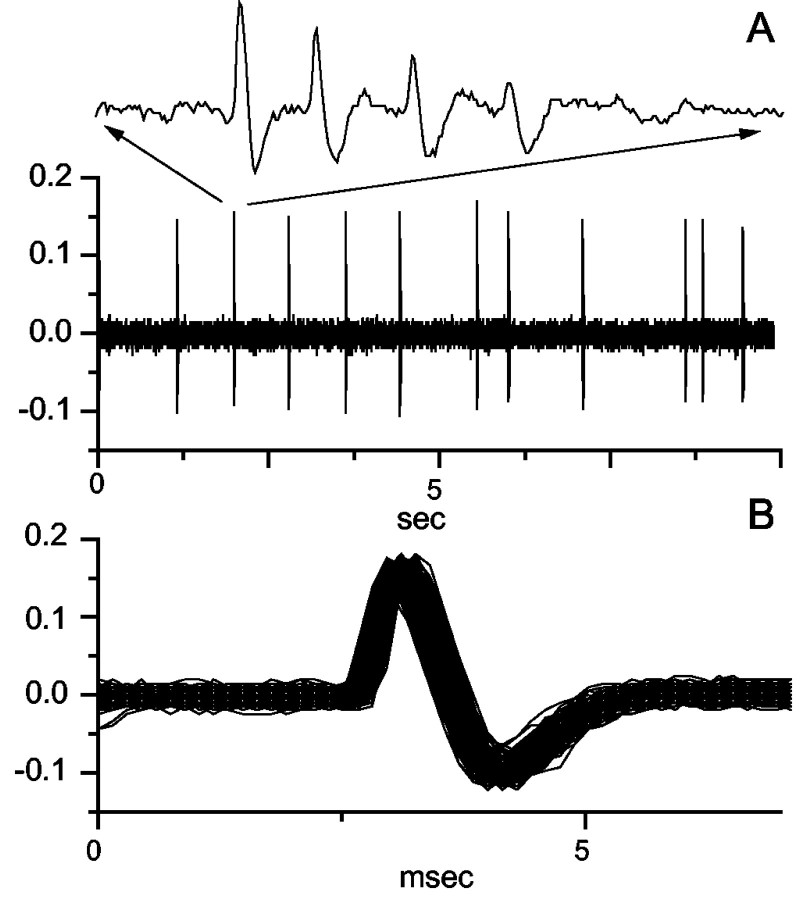 Figure 7.