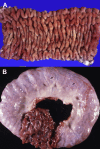Fig. 48