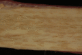 Fig. 18