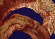 Fig. 45