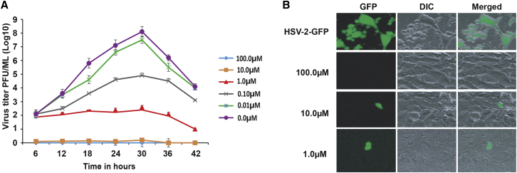 Figure 2