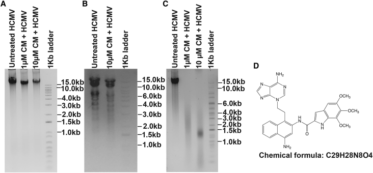 Figure 3