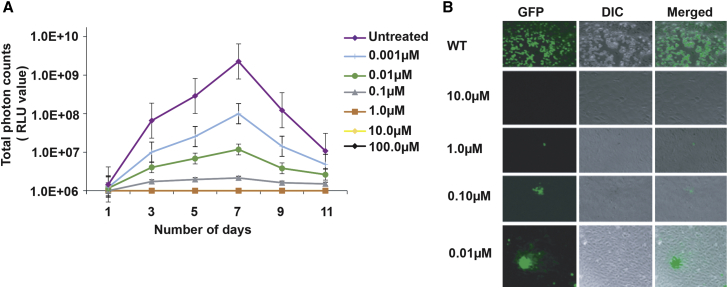 Figure 1