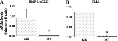 Fig. 5