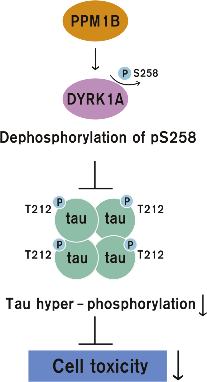 Figure 9