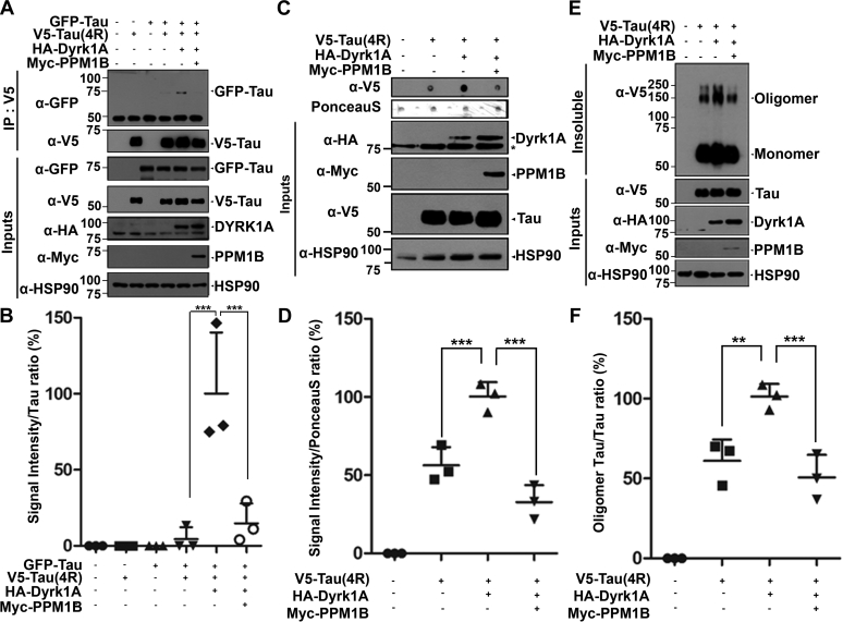 Figure 6