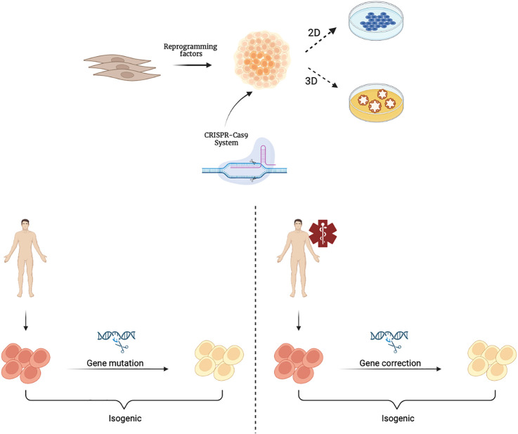 FIGURE 2