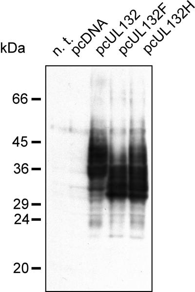 FIG. 5.