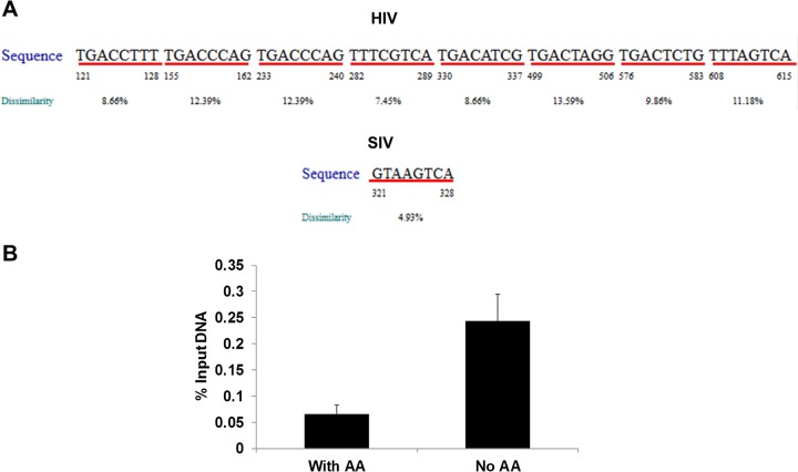 FIG 6 