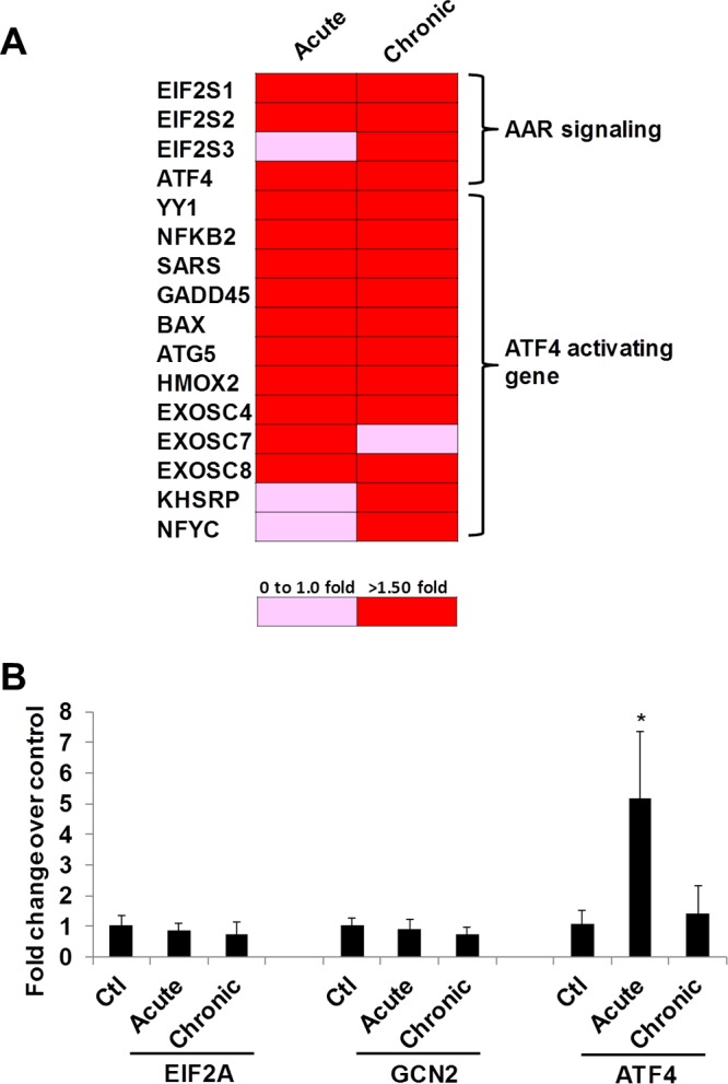 FIG 2 