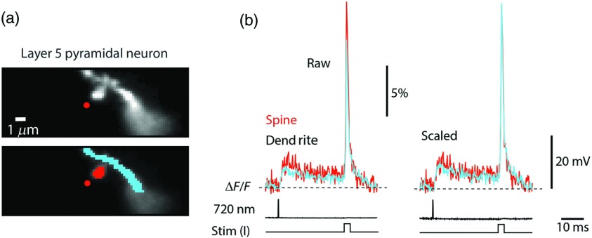 Fig. 2