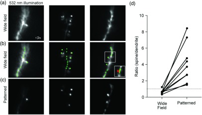 Fig. 3