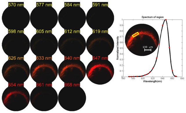 Fig. 13