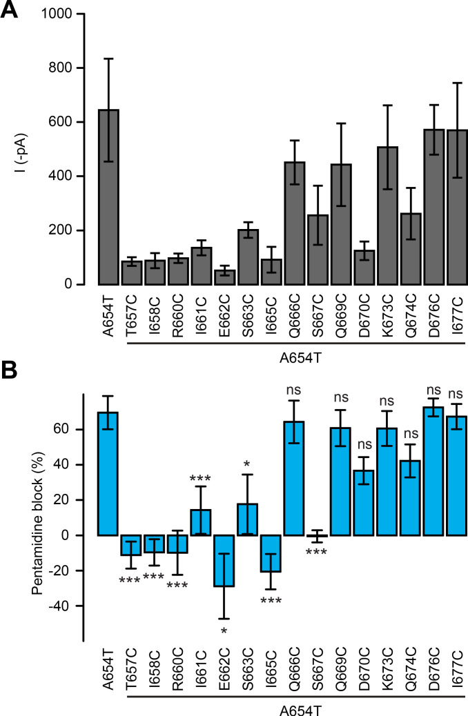 Figure 2—figure supplement 1.