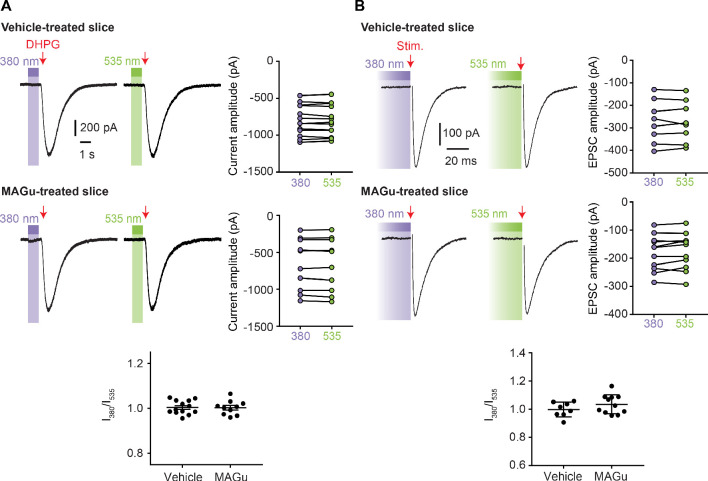 Figure 5—figure supplement 1.